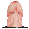 castolo