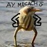 Mecachis