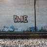 OLAE!