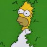 homerthompson233