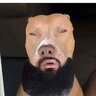 Khal_21