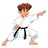 Judoca