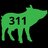 pig311