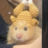 chiquitinop