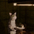 CyberCat