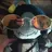 Murdoc
