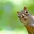 Peter_595