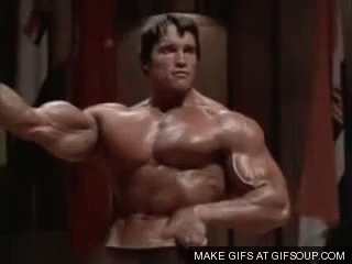 d1fa30c3a492149087de7f000329bc34.gif