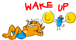 https://gifgifs.com/animations/animals/cats/wake_up.gif