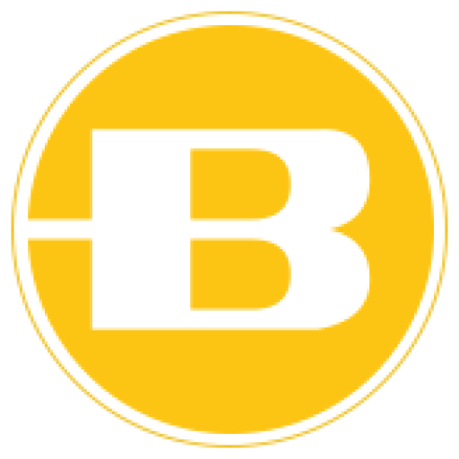 www.bergara.online