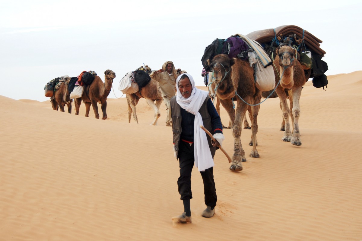 landscape, desert, camel, caravan, bedouin, sahara, tunisia, natural environment, aeolian landform, camel like mammal, mustang horse, arabian camel