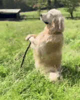 Vibing Good Morning GIF