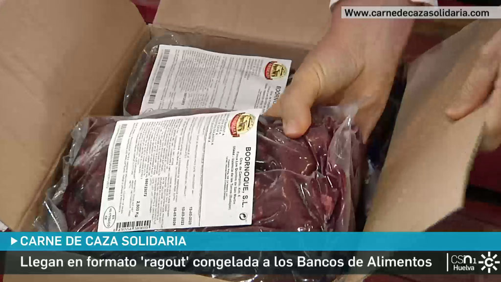 www.canalsur.es