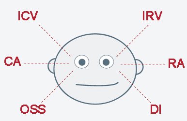 psicocode.com