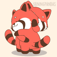 Red Panda Love GIF