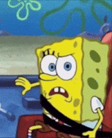 Spongebob Wtf GIF