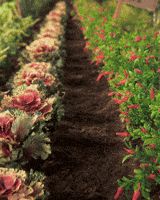 Garden Gnome GIF by PES