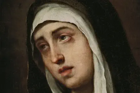 proyectoemaus.com