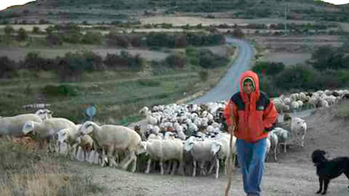 www.lavanguardia.com