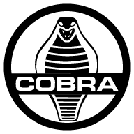 cobramotorsport.com.ar