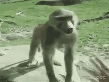 g1Hy.gif