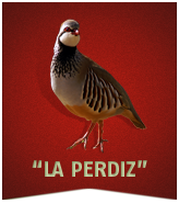 cazarenllanera.com