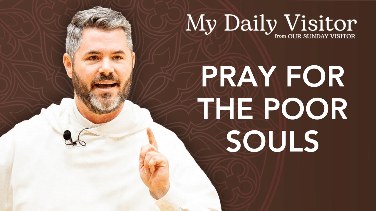 www.oursundayvisitor.com