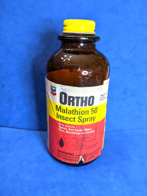 s-l640.jpg