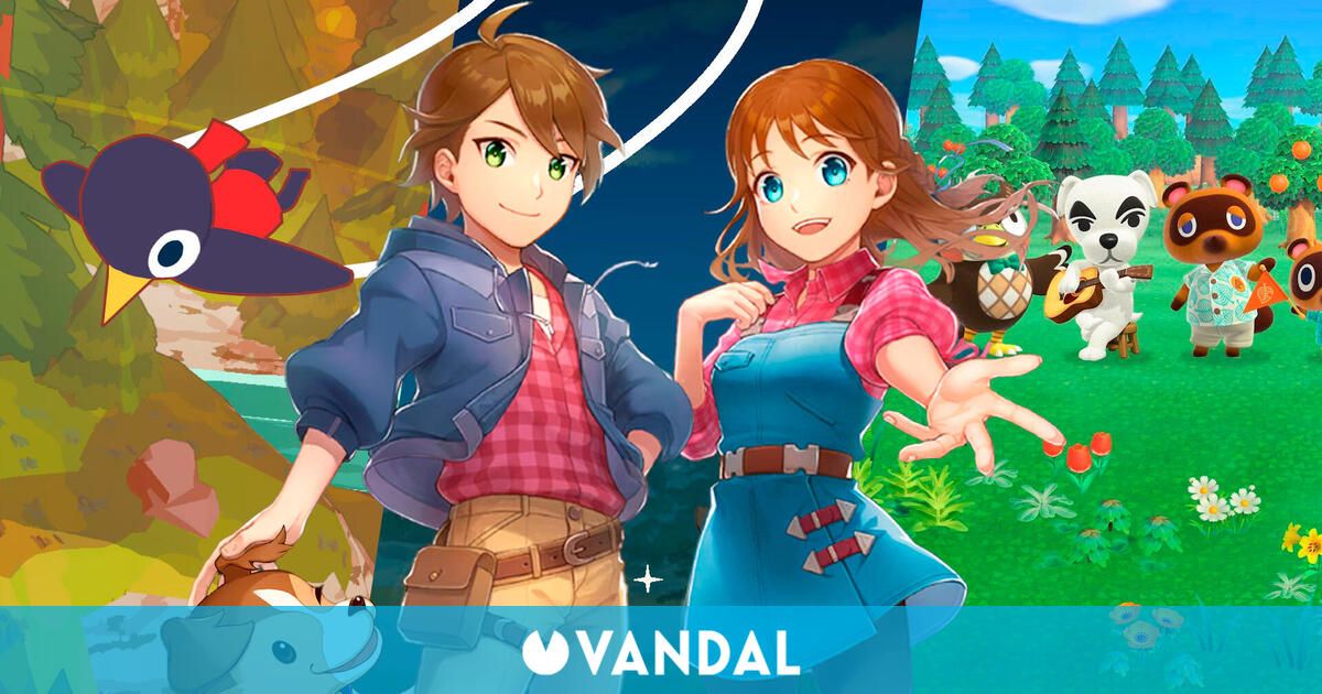 vandal.elespanol.com