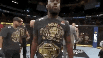 jon jones sport GIF by UFC