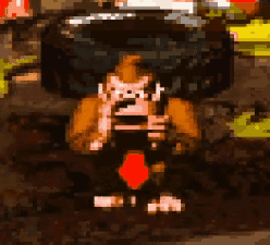 donkey-kong-dk.gif
