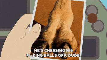 picture GIF by South Park 