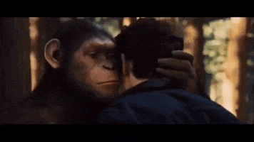 Planeta De Los Simios Mono GIF by Sonbaterias