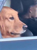 Peace Dont Talk To Me GIF