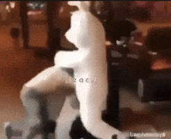 Bunny Rabbit GIF