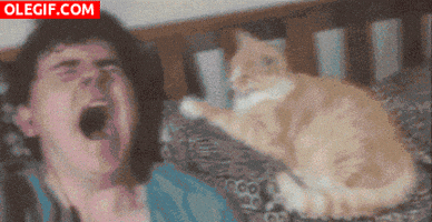le al GIF