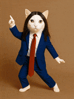 Tommy Cash Dancing GIF by Digitale Weerbaarheid