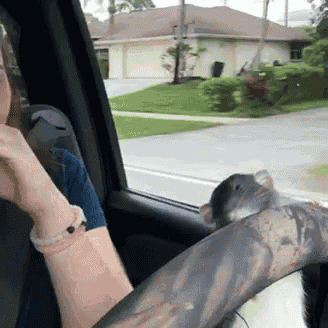 car-drive.gif