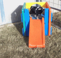 Fail Falling Down GIF by America's Funniest Home Videos's Funniest Home Videos