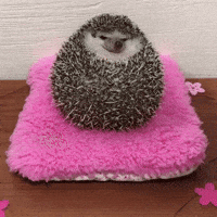 200.gif