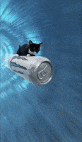 Monster Monty GIF