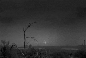 black and white tormenta GIF