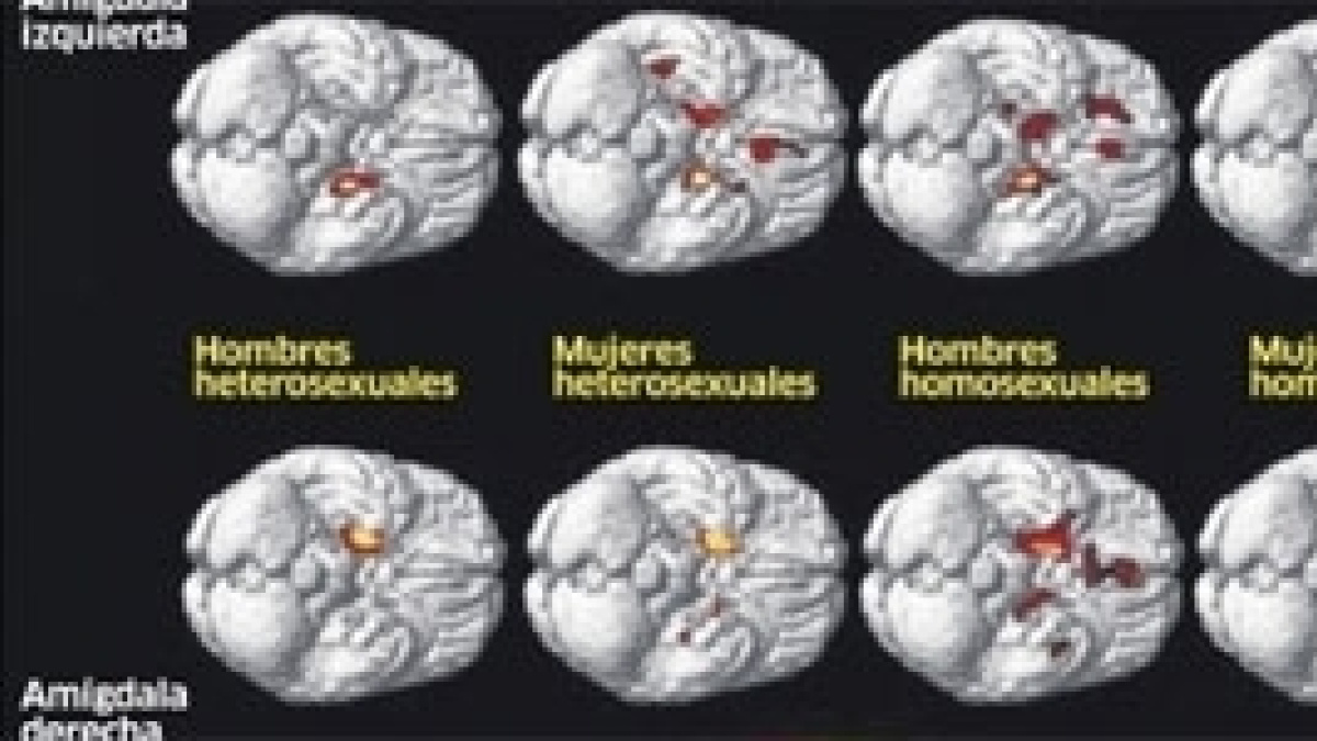 www.publico.es