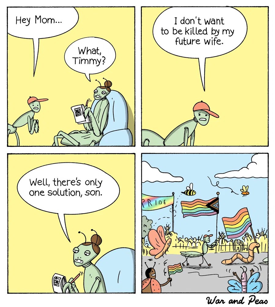 tIINPTr.jpeg