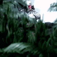 200.gif