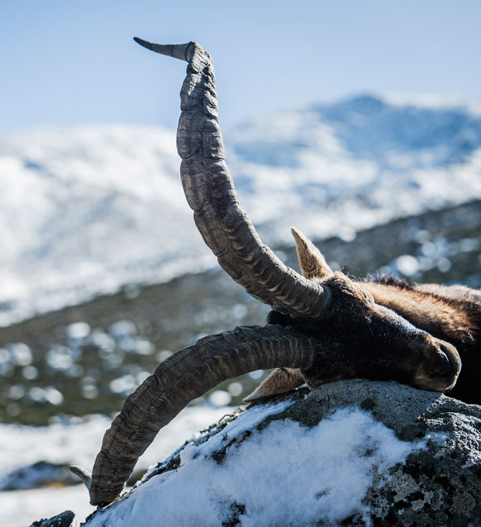 topspanishhunting.com