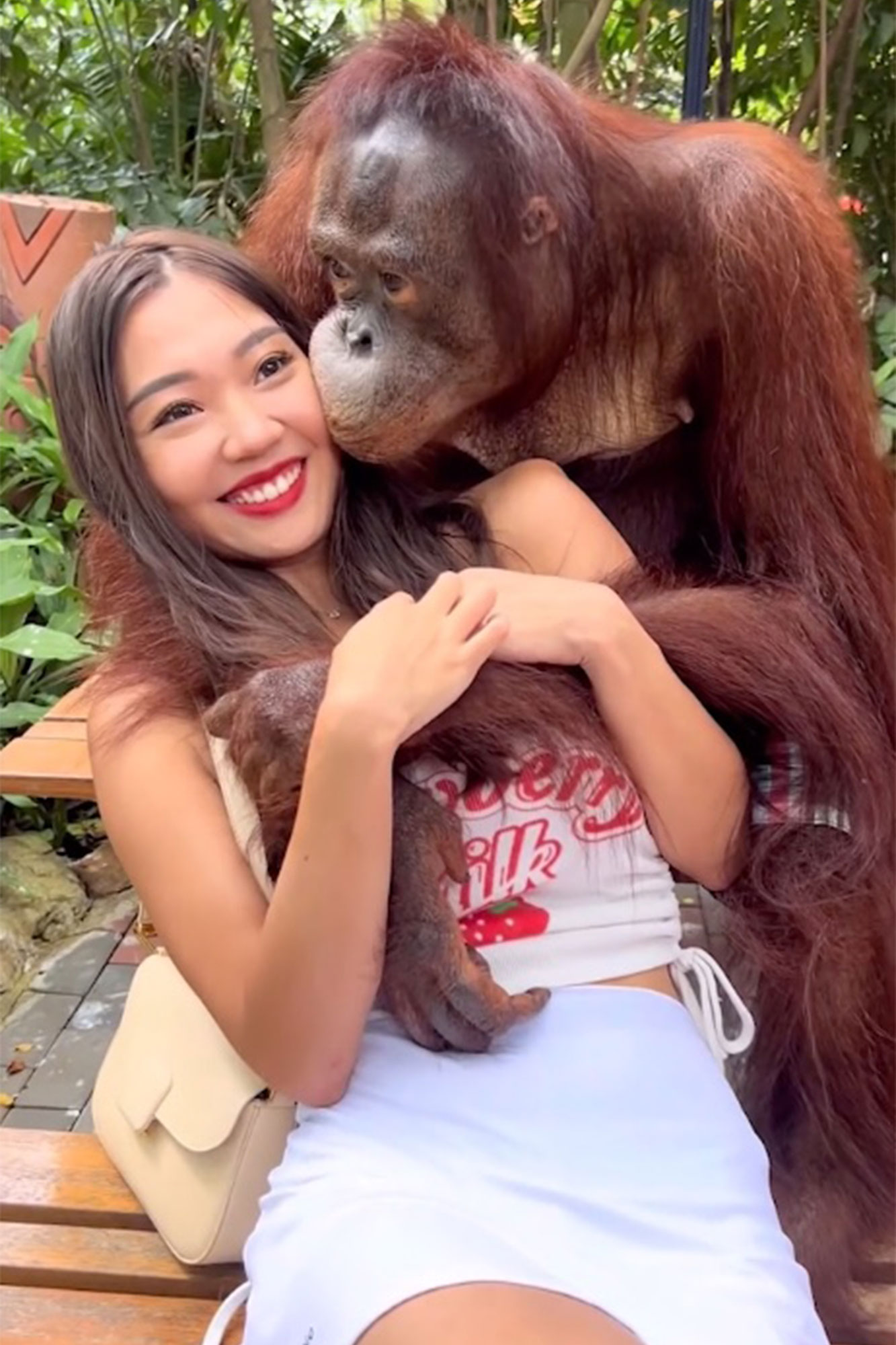 groping-orangutan-768.jpg