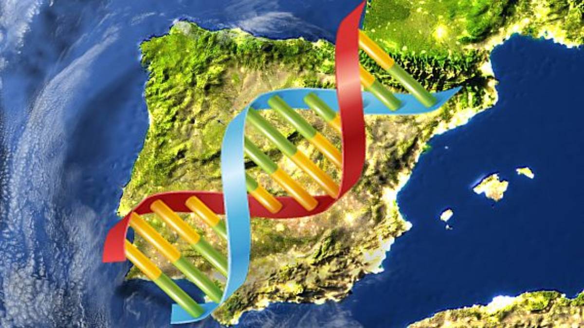 www.mediterraneodigital.com