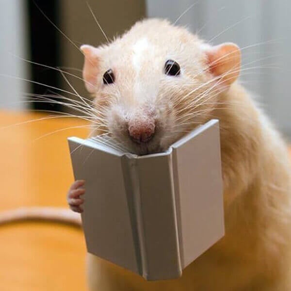 Marty-Reads-a-Book.jpg