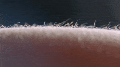 3107bc212de0586258f27d6c50e9ec5e.gif